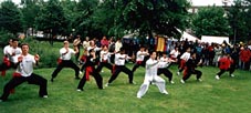 Xia Quan Kung Fu Tai Chi demonstration 1994